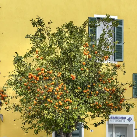 Il Marinaio By Interhome Appartement *