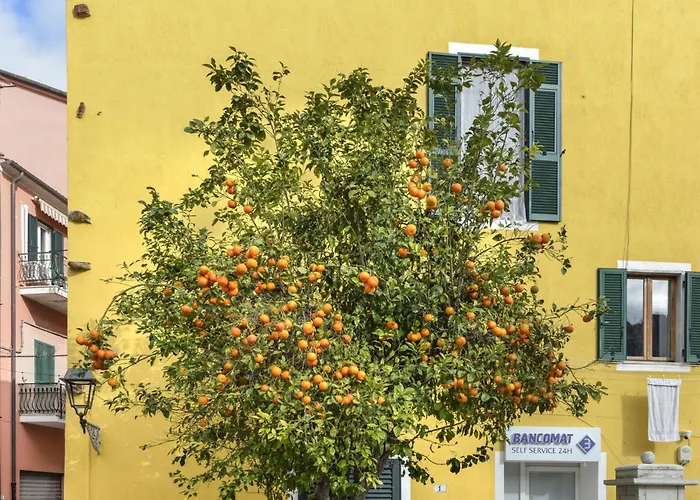 Il Marinaio By Interhome Appartement *